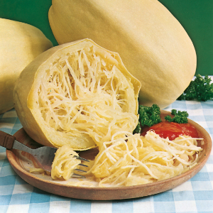 COURGE SPAGHETTI VEGETAL - BIO