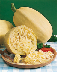 CUCURBITA COURGETTE SPAGHETTI