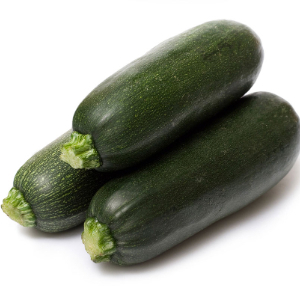 COURGETTE TEMPRA HYB F1 